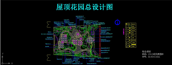 13风景园林本科班《cad园林制图》课程展示